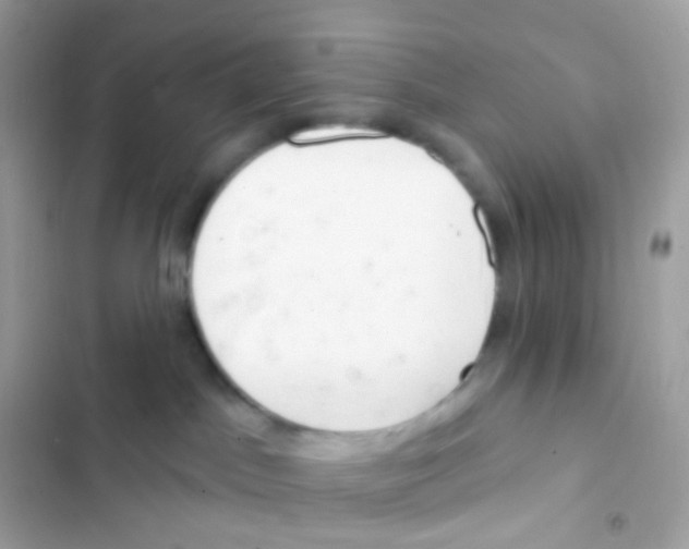 X0000103170045200809192127