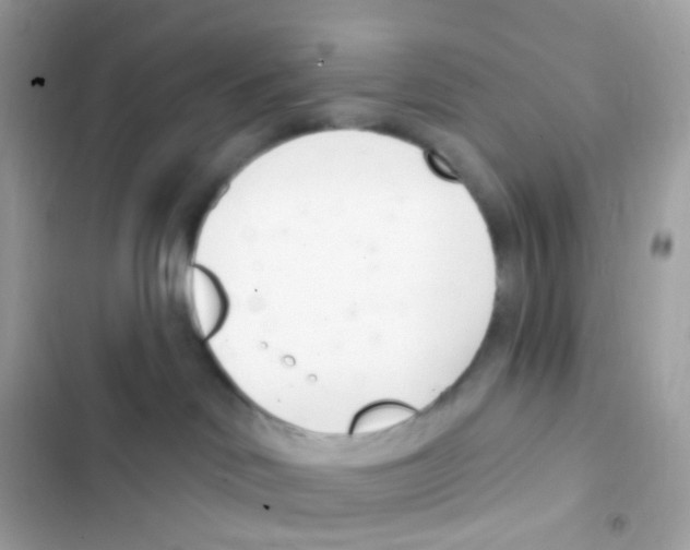 X0000103170046200809192127