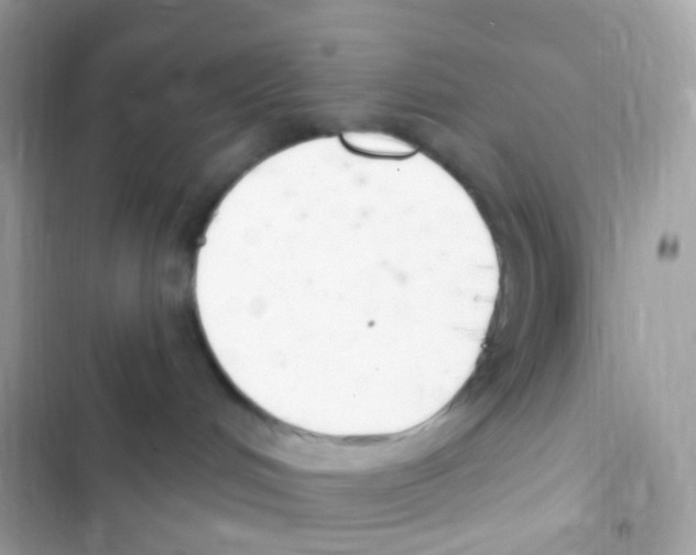 X0000103170048200809192127