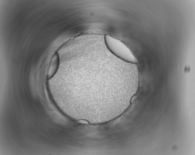 X0000103170049200809192126