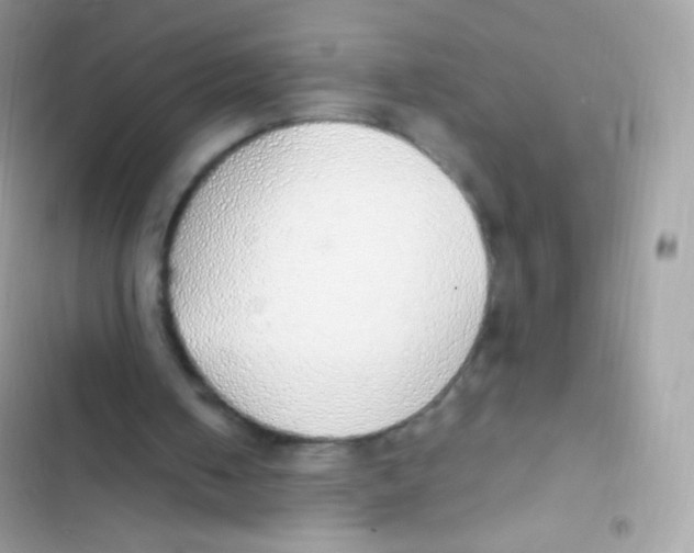 X0000103170050200809192126