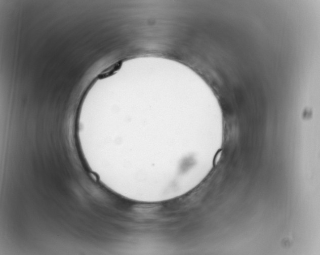 X0000103170051200809192126