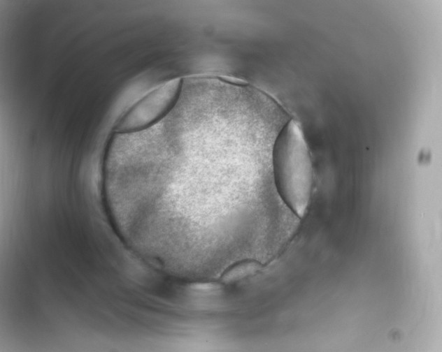 X0000103170053200809192126