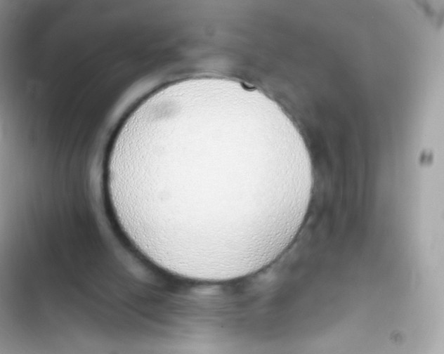 X0000103170054200809192126