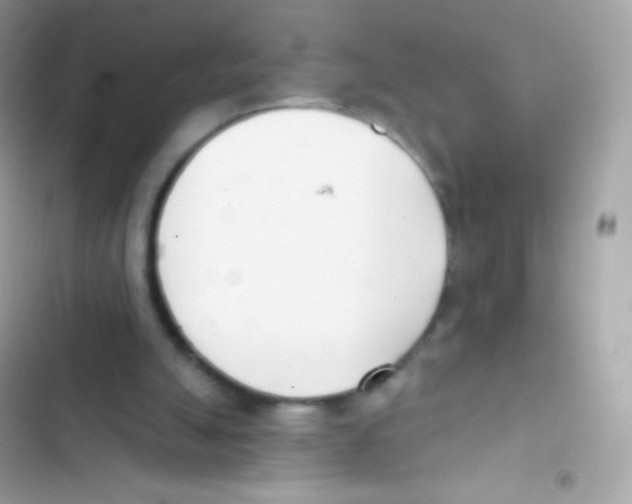 X0000103170055200809192126