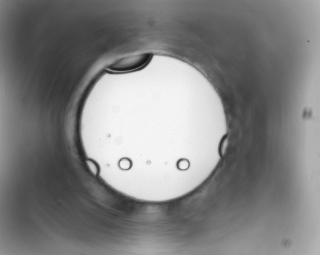 X0000103170056200809192126