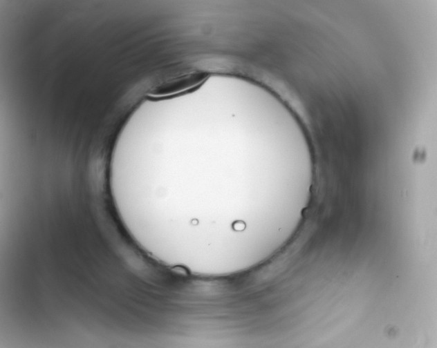 X0000103170057200809192126