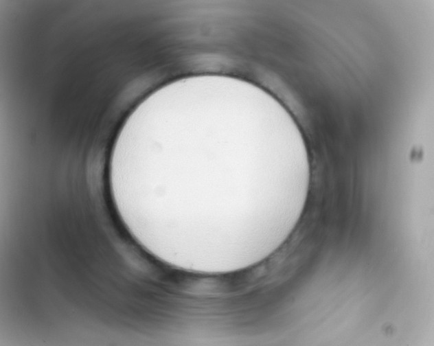 X0000103170058200809192126