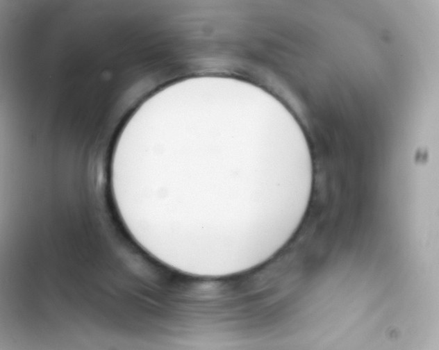 X0000103170059200809192126