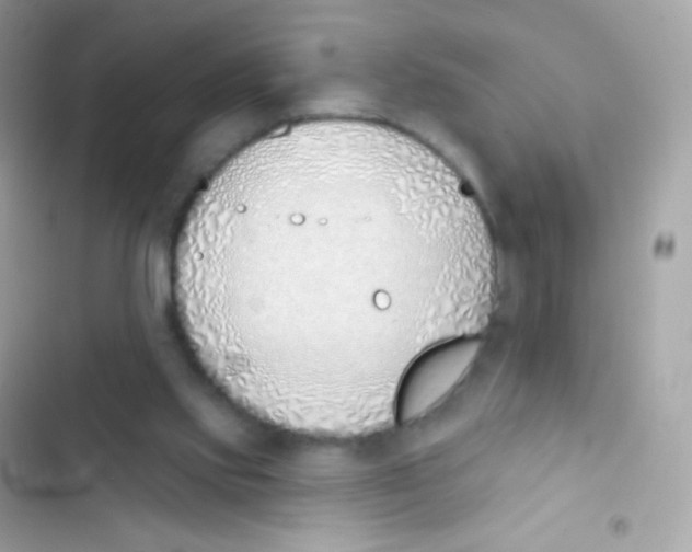 X0000103170061200809192126