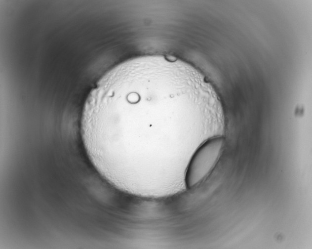 X0000103170065200809192126