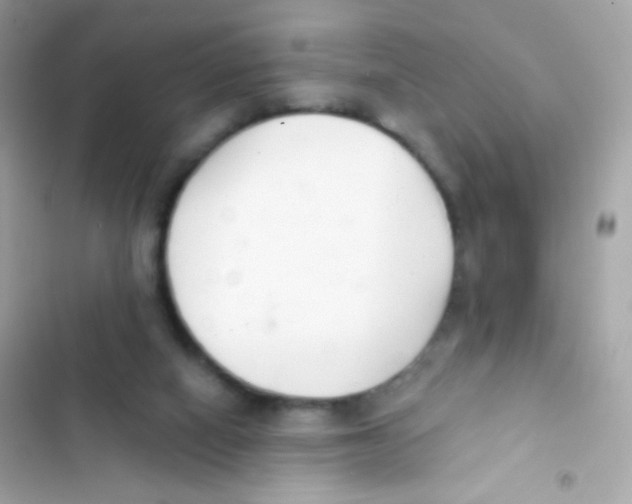 X0000103170066200809192126