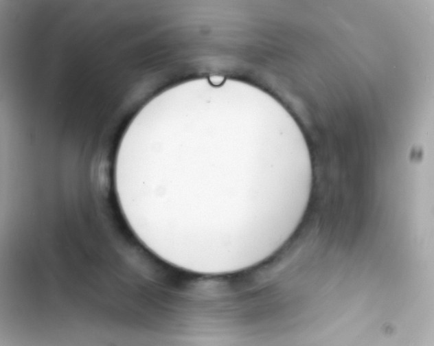 X0000103170067200809192126