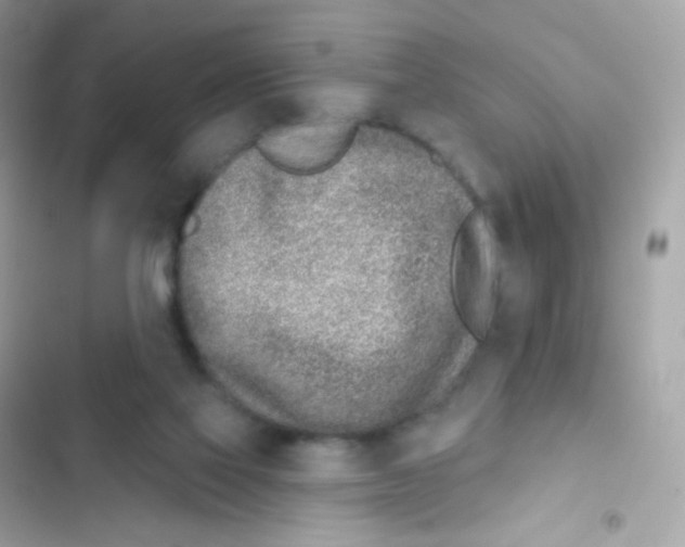 X0000103170069200809192126