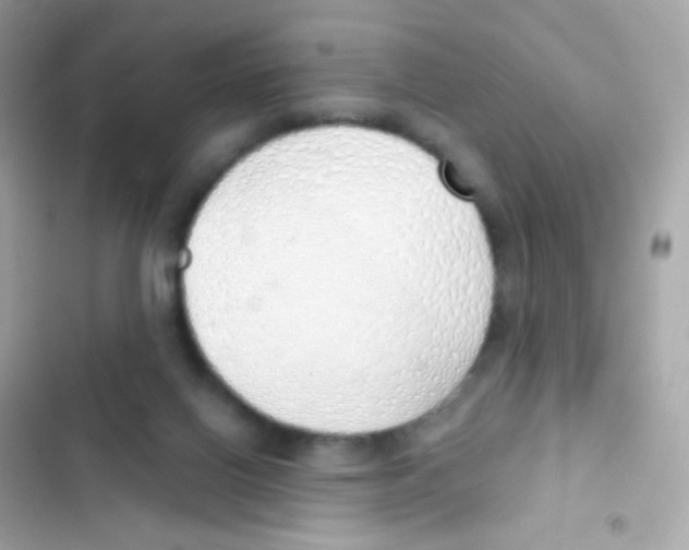 X0000103170070200809192126