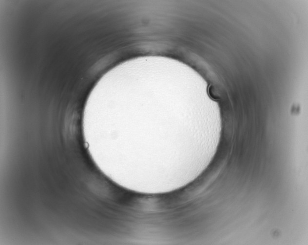 X0000103170071200809192126