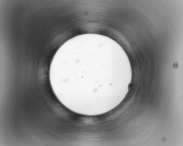 X0000103170073200809192126