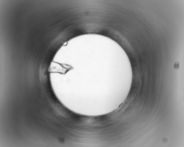 X0000103170074200809192126