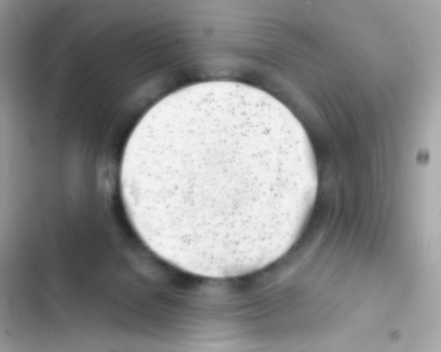 X0000103170076200809192126