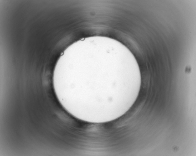 X0000103170077200809192126