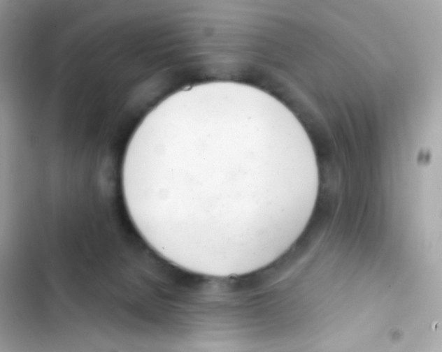 X0000103170080200809192126