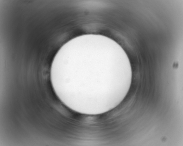 X0000103170081200809192126