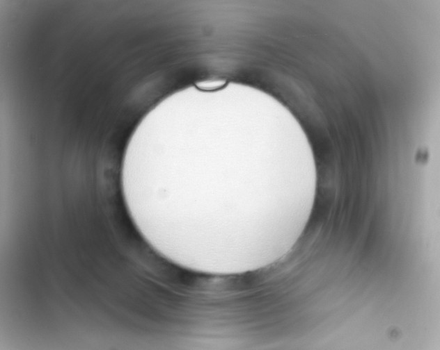 X0000103170082200809192126