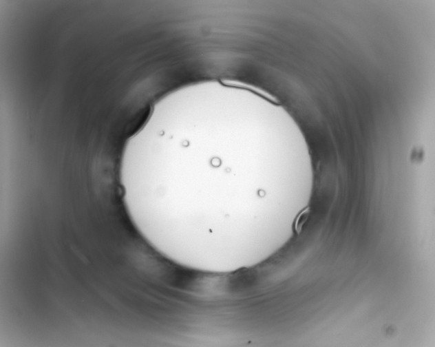 X0000103170084200809192126