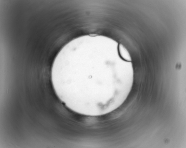 X0000103170085200809192126