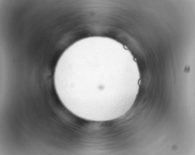 X0000103170086200809192126