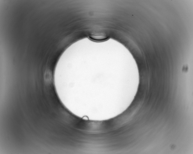 X0000103170089200809192126