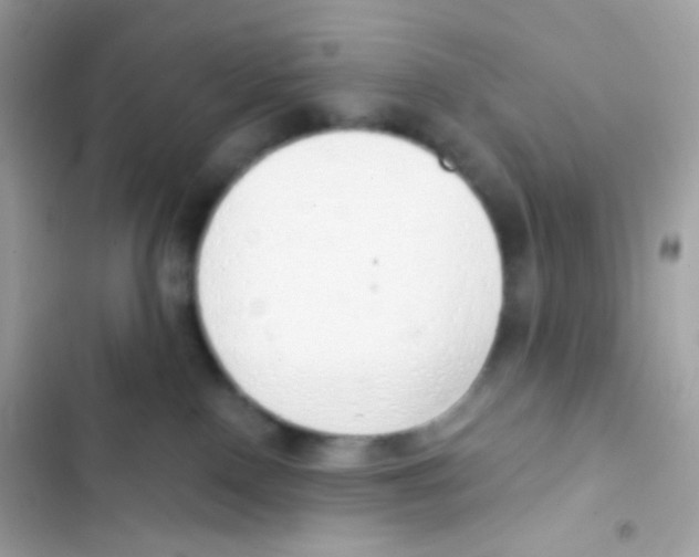 X0000103170090200809192126