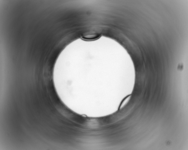 X0000103170091200809192126