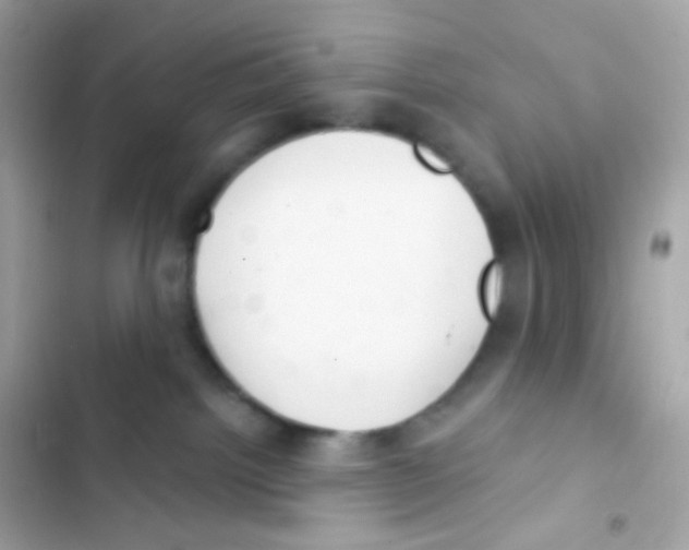 X0000103170092200809192126