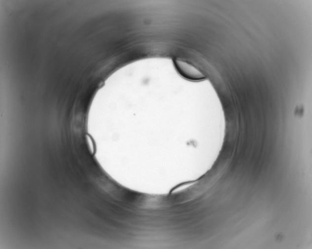 X0000103170093200809192126