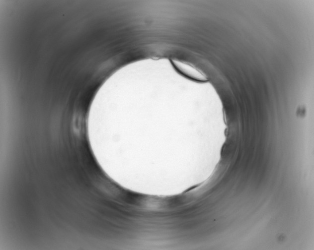 X0000103170094200809192127