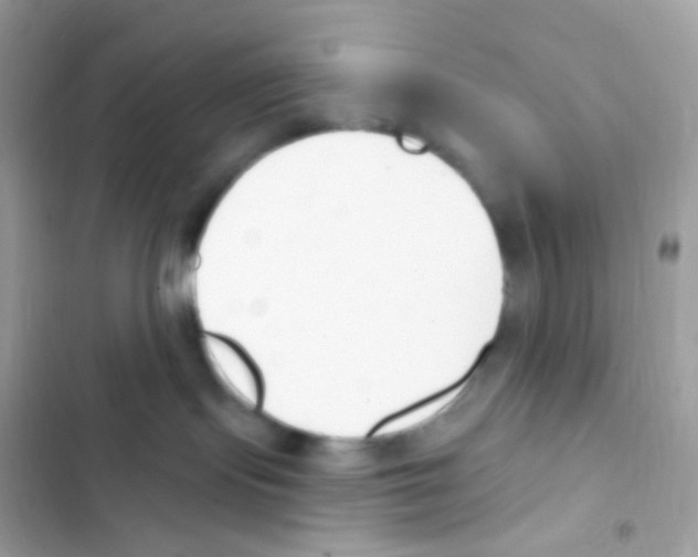 X0000103170095200809192127