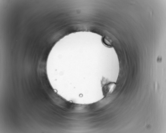 X0000103170096200809192127