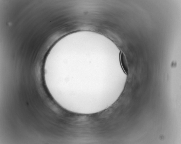 X0000103170098200809192126