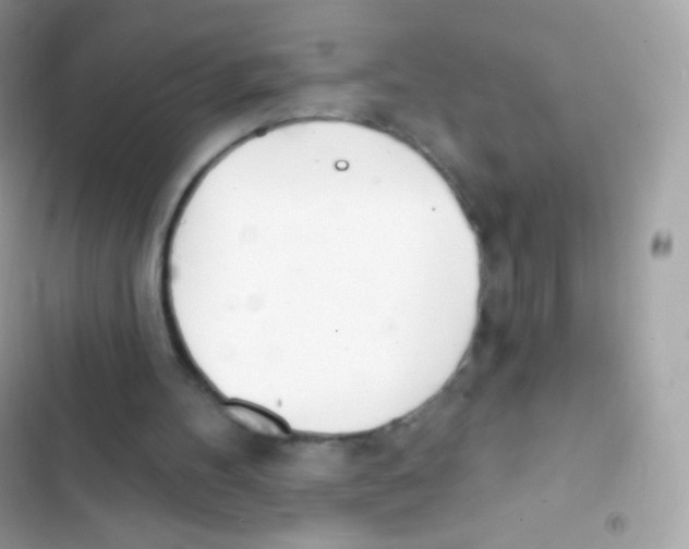 X0000103170100200809192126