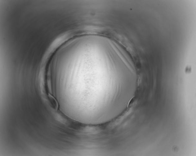 X0000103170101200809192126