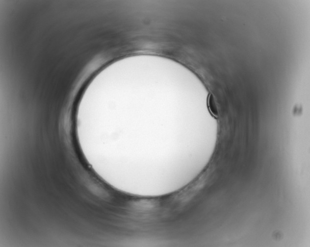 X0000103170102200809192126