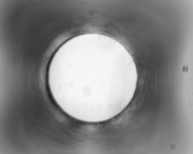 X0000103170103200809192126