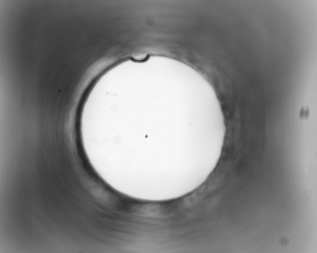 X0000103170104200809192126