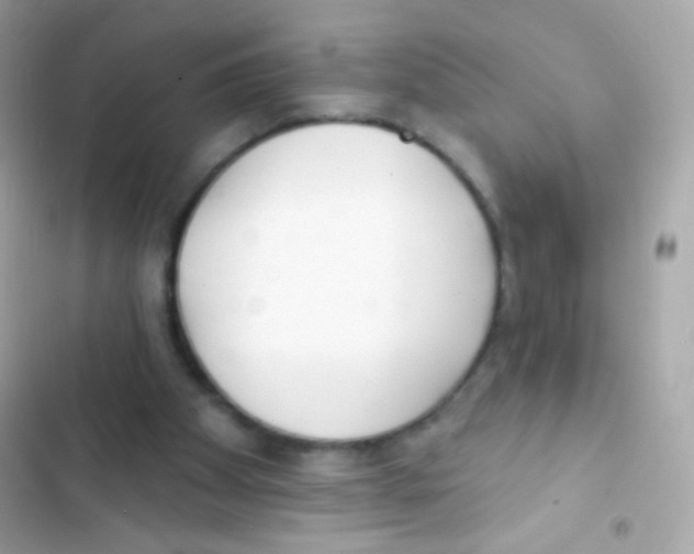 X0000103170105200809192126