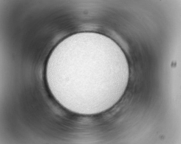 X0000103170107200809192126