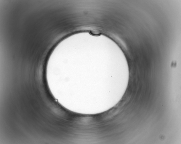 X0000103170108200809192126