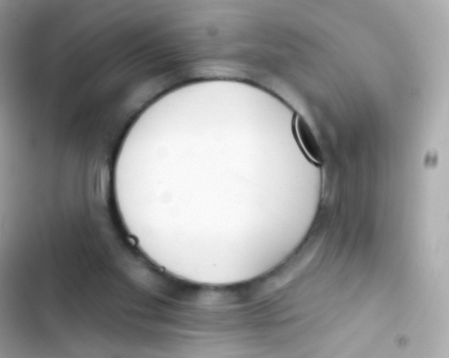 X0000103170109200809192126