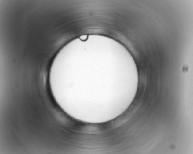 X0000103170110200809192126