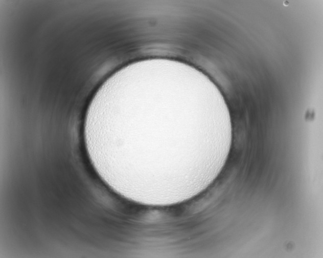 X0000103170111200809192126